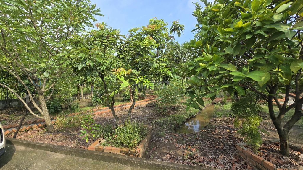 1200m2 nhà vườn kênh cây Xanh xã Bình Mỹ chỉ 3.6 tỷ Đường Bình Mỹ, Xã Bình Mỹ, Huyện Củ Chi, Tp Hồ Chí Minh Huyện Củ Chi Tp Hồ Chí Minh