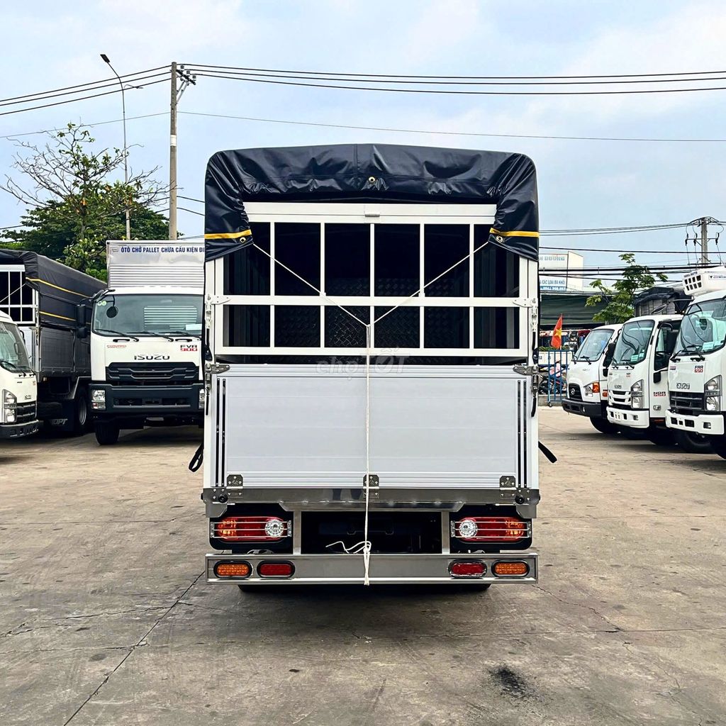 Ảnh số 4