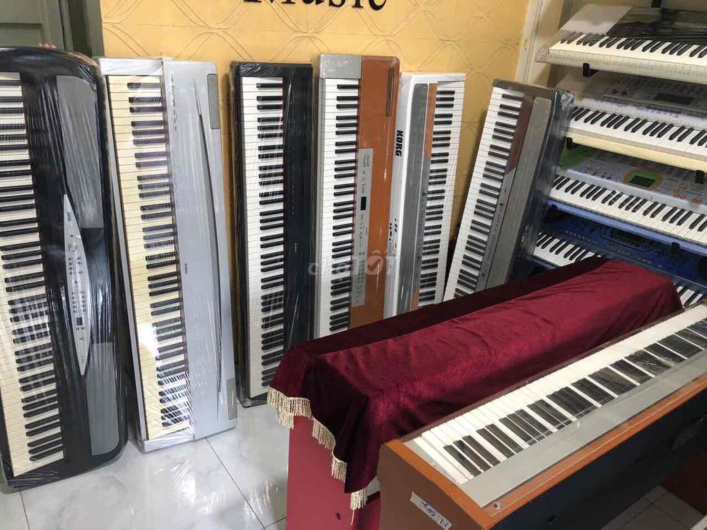 Đàn Piano Điện, Organ Nhật, Giá Rẻ, Bảo Hành 18 Th