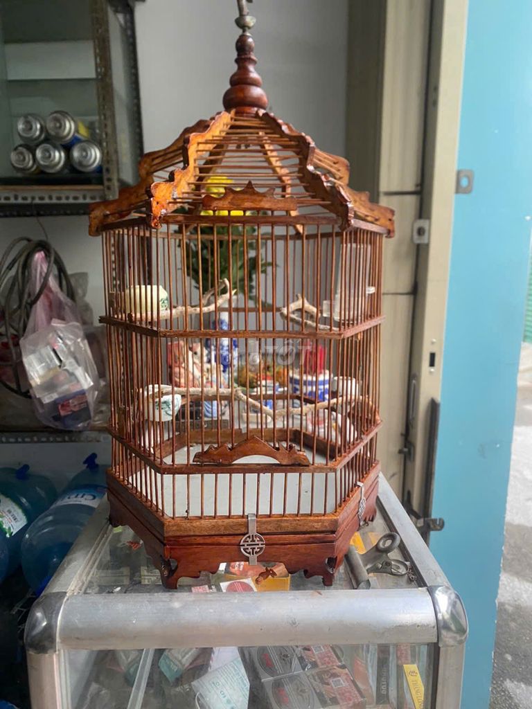 Lồng chim tre chạm Nâu. Mua bán Phụ kiện, Thức ăn, Dịch vụ tại Quận Gò Vấp Tp Hồ Chí Minh được đăng bởi anh Hiền hình 1