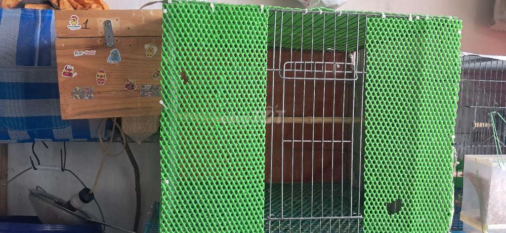 Lồng chim Kim loại Bạc 50x50cm Mới. Mua bán Phụ kiện, Thức ăn, Dịch vụ tại Quận 5 Tp Hồ Chí Minh được đăng bởi Hồng thúy  hình 1