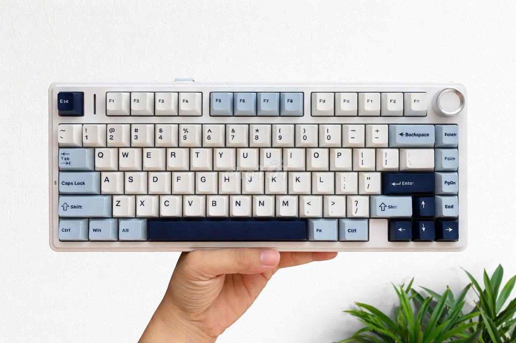 Bàn phím cơ AuLa F75 3 model ko dây new seal. Mua bán Phụ kiện (Màn hình, Chuột...) tại Thành phố Ninh Bình Ninh Bình được đăng bởi Kiên Trung hình 1