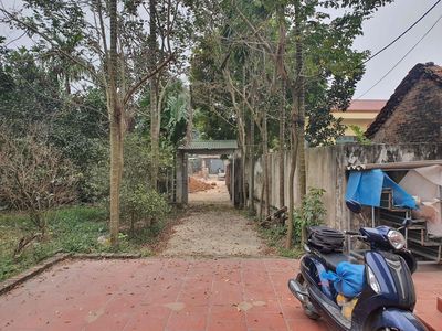cho thuê nhà ở. Cho thuê nhà ở tại Huyện Thanh Oai Hà Nội được đăng bởi TELLINK
