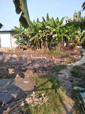 Nhà vườn 400m2 có nhà, có ao gần ngã ba Tân Kim