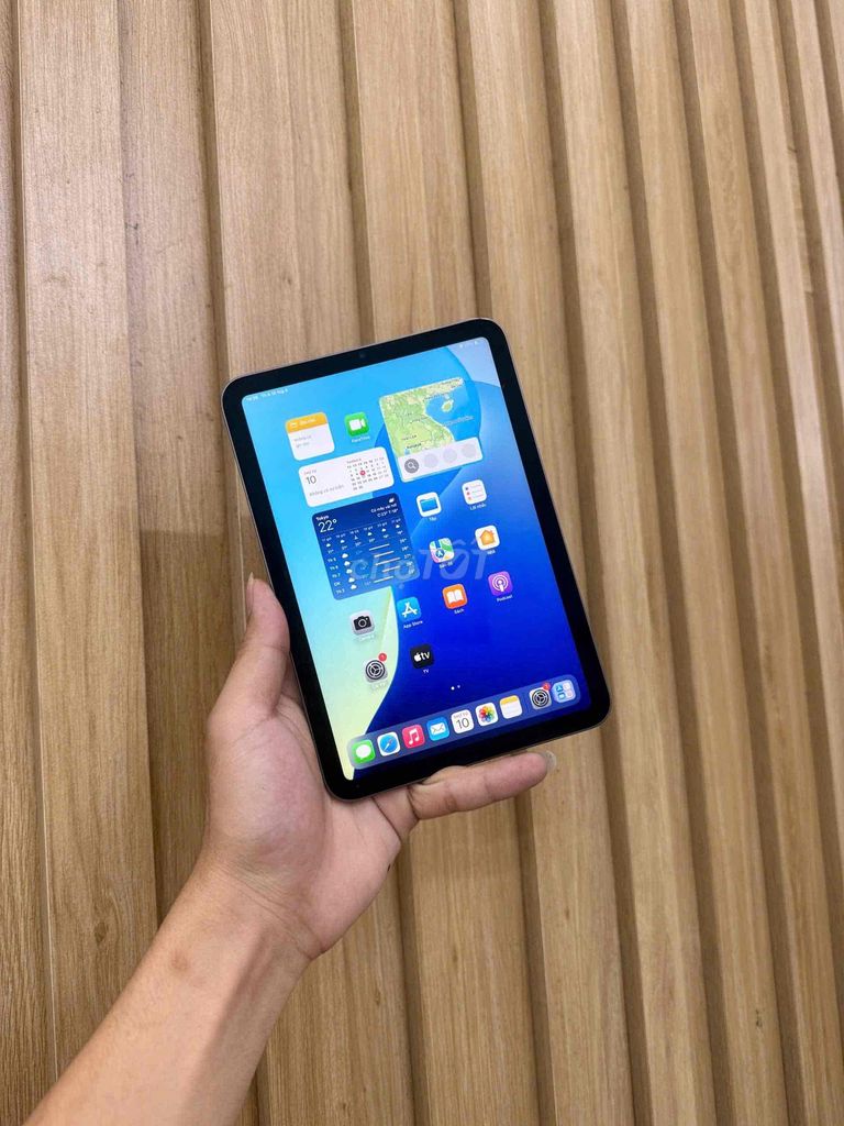Apple iPad mini 6 64 GB Xám. Mua bán Máy tính bảng tại Quận Đống Đa Hà Nội được đăng bởi Hanoi moibile đức hình 1