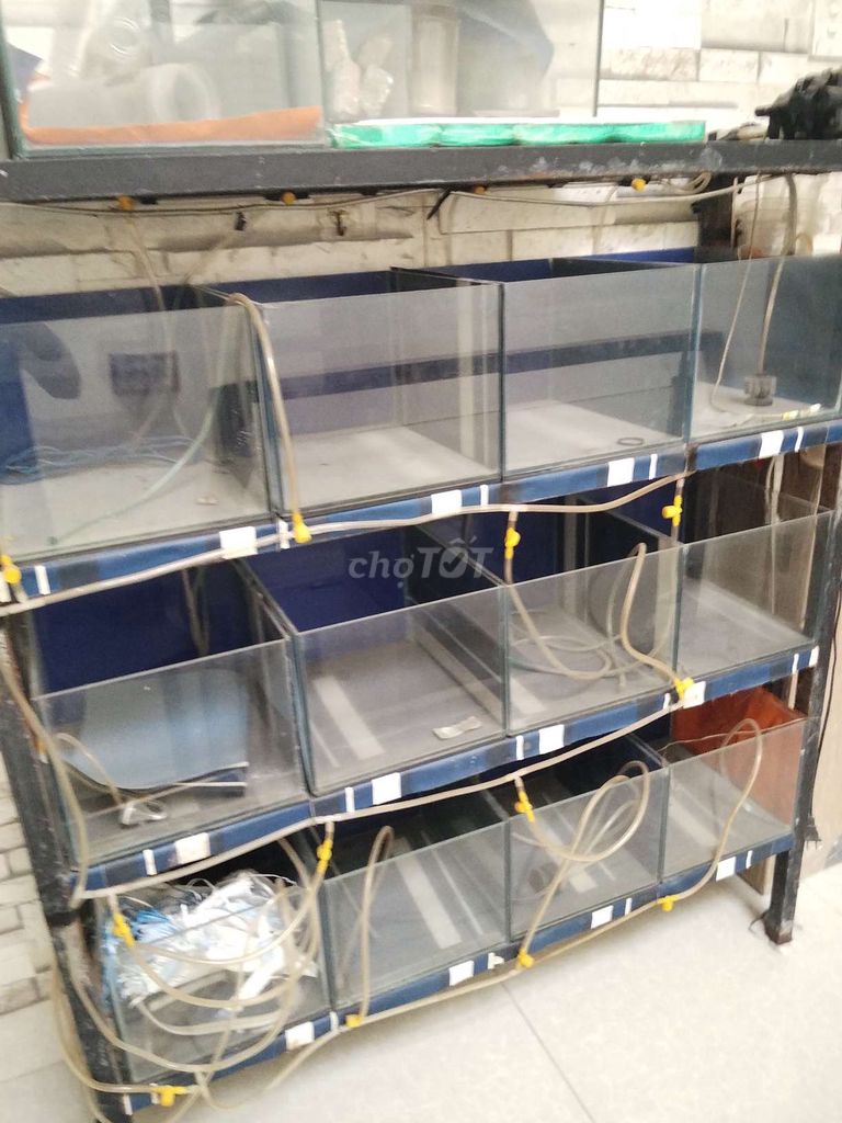Kệ nuôi cá Kính Kim loại 25x22x20 cm. Mua bán Phụ kiện, Thức ăn, Dịch vụ tại Huyện Nhà Bè Tp Hồ Chí Minh được đăng bởi Văn Thân Lại hình 1
