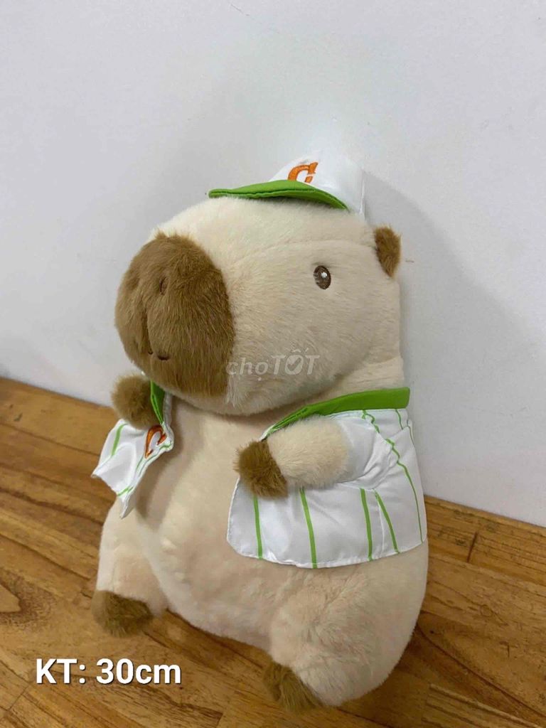 Gấu Capybara đội mũ đẹp trai(hn)