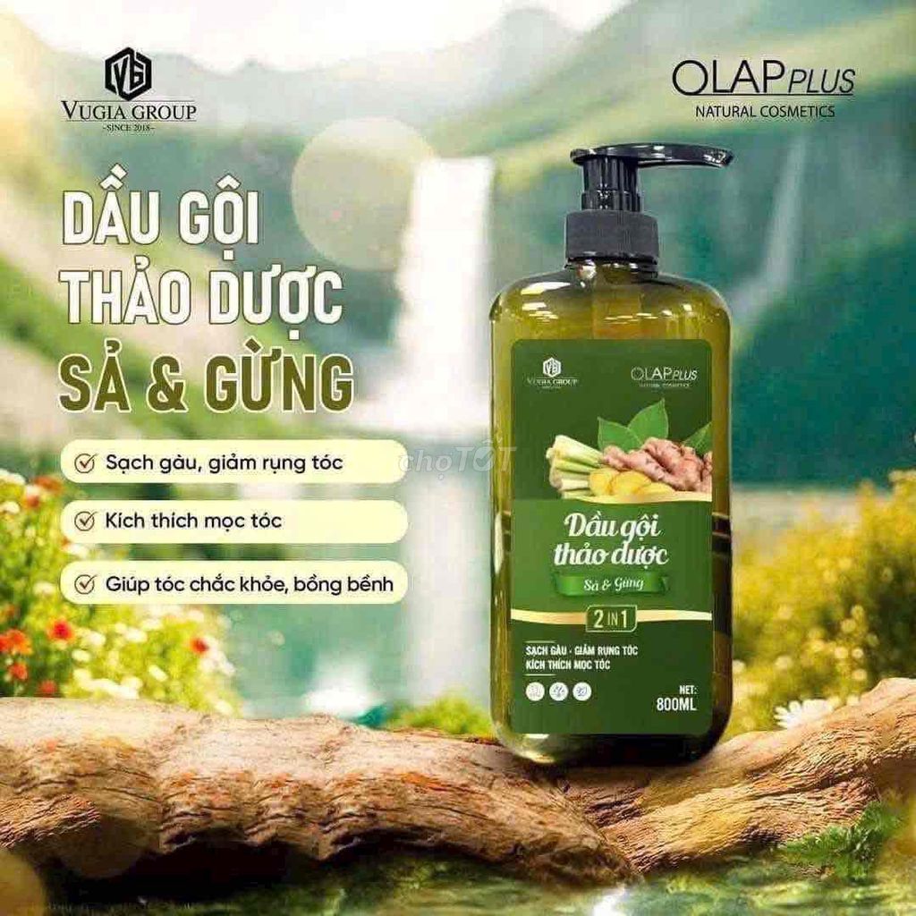 Dầu gội OLAPPLUS Sả Gừng 800ML. Mua bán Phụ kiện thời trang khác tại Huyện M'Đrắk Đắk Lắk được đăng bởi H Nang Niê hình 1