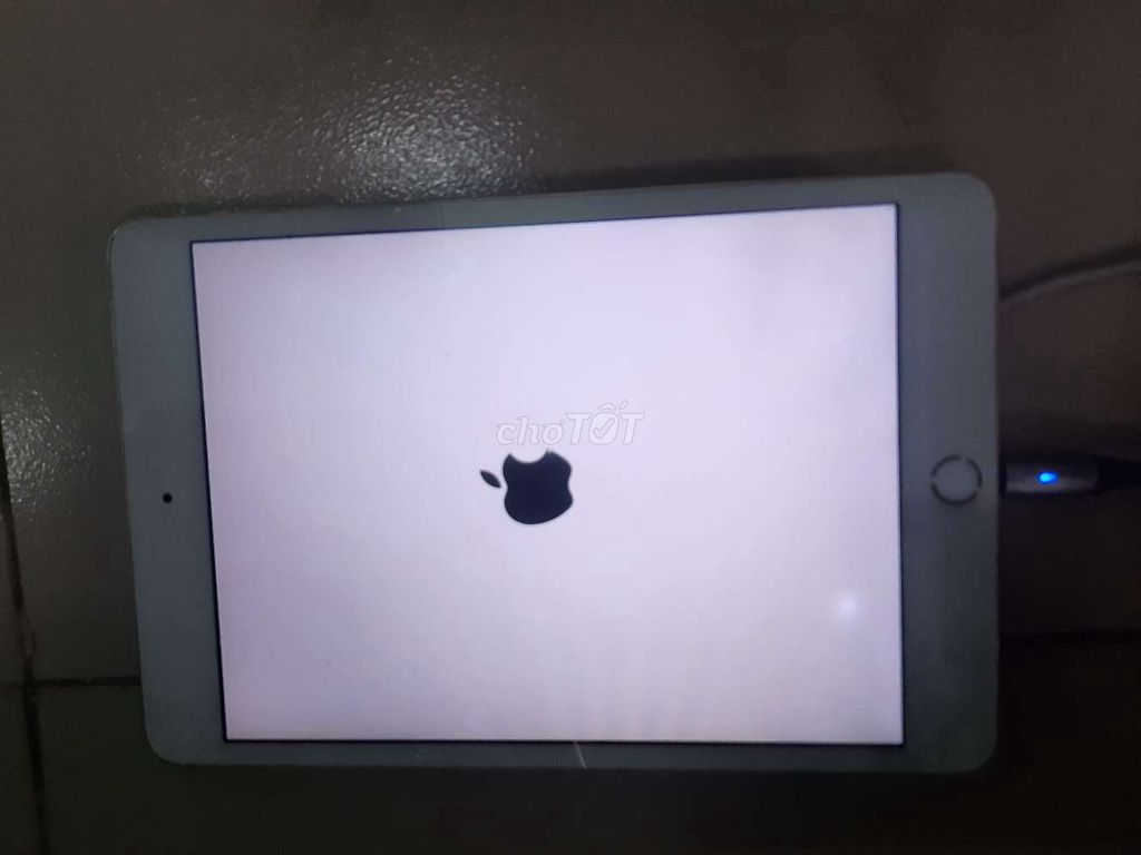 Apple iPad Mini 4 Vàng hồng Hư hỏng. Mua bán Máy tính bảng tại Quận 7 Tp Hồ Chí Minh được đăng bởi an hình 1