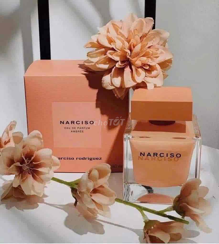 🧡NARCISO AMBREE ( 𝑁𝐴𝑅𝐶𝐼𝑆𝑂 𝐶𝐴𝑀 ) 2050.1500.