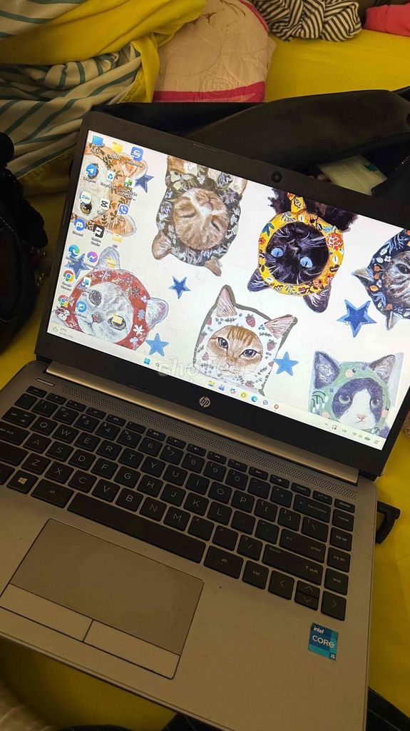 HP 240 G8 Notebook PC i5-1135G7 8GB Bạc. Mua bán Laptop tại Quận Cầu Giấy Hà Nội được đăng bởi trương diệp anh hình 1