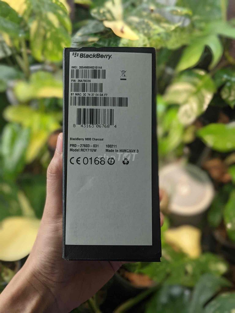 BlackBerry 9800 Charcoal Đen Như mới. Mua bán Điện thoại tại Thành phố Bến Tre Bến Tre được đăng bởi Bin Võ hình 1