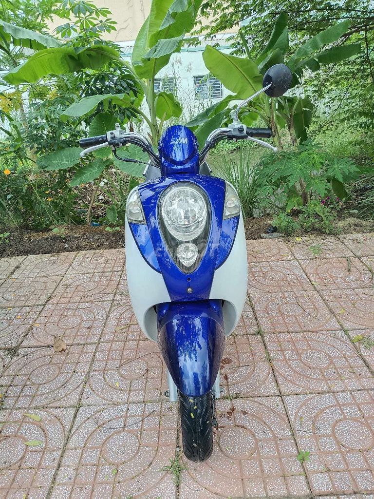 SYM elite 50cc xe còn rất đẹp bs 65. Mua bán Xe máy tại Quận Bình Thuỷ Cần Thơ được đăng bởi binh hình 2