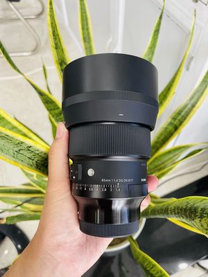 🔴 SIGMA 85 F1.4 ART FOR SONY BH12T