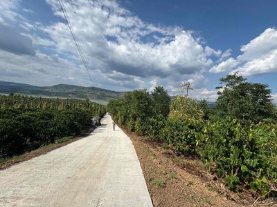 Đất nông nghiệp kèm thổ cư