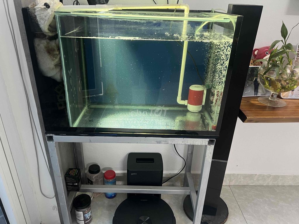 Hồ cá cảnh 80x60x40 cm có lọc đèn. Mua bán Phụ kiện, Thức ăn, Dịch vụ tại Quận Cẩm Lệ Đà Nẵng được đăng bởi Phan Hoàng Phúc hình 1
