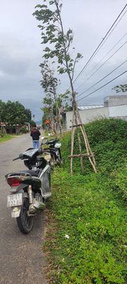 Kẹt tiền bán gấp đất. Mua bán đất tại Huyện Mộ Đức Quảng Ngãi được đăng bởi Trang