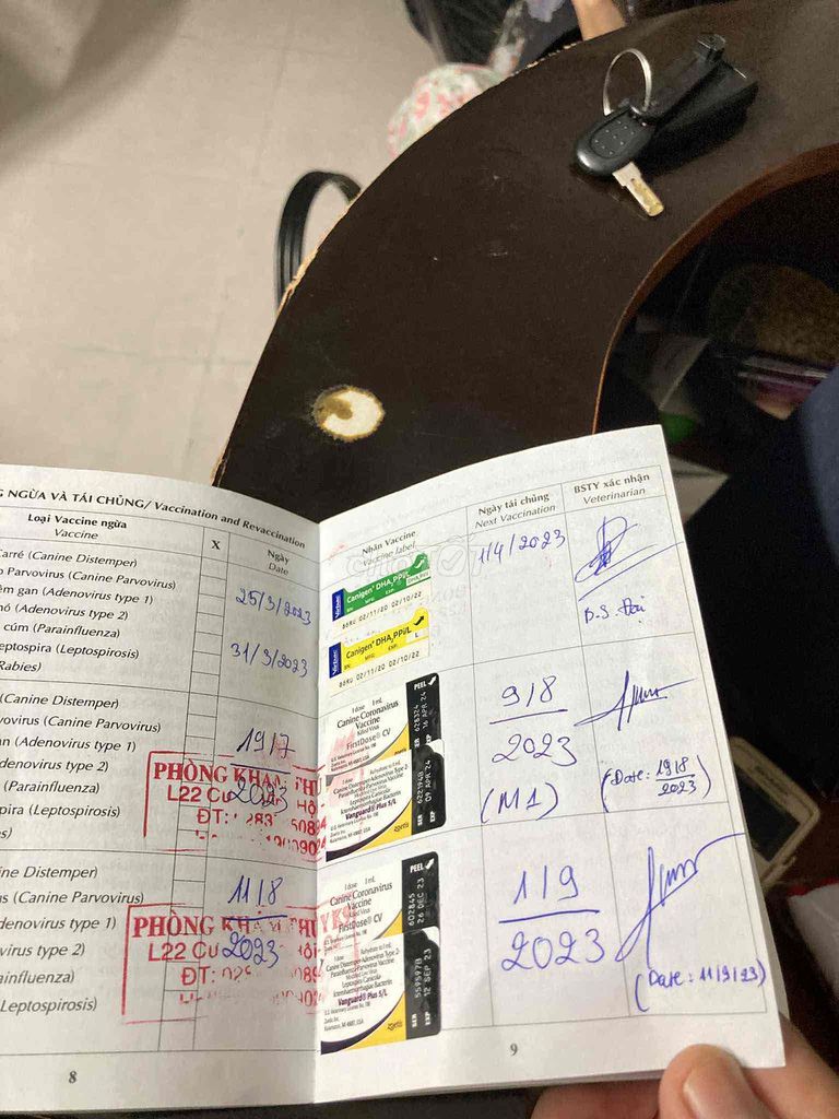 bán cho nhà. Mua bán Chó tại Quận 1 Tp Hồ Chí Minh được đăng bởi CATTHY hình 1