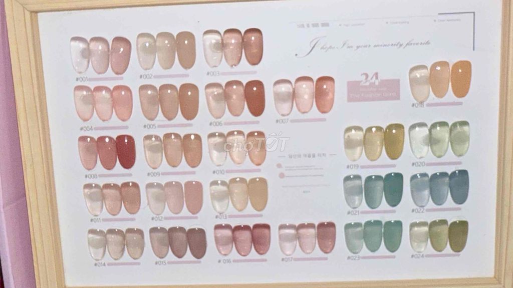 Sơn móng tay Aivennhuy 24 chai nhiều màu. Mua bán Phụ kiện thời trang khác tại Quận Cái Răng Cần Thơ được đăng bởi Tên chưa cung cấp hình 1