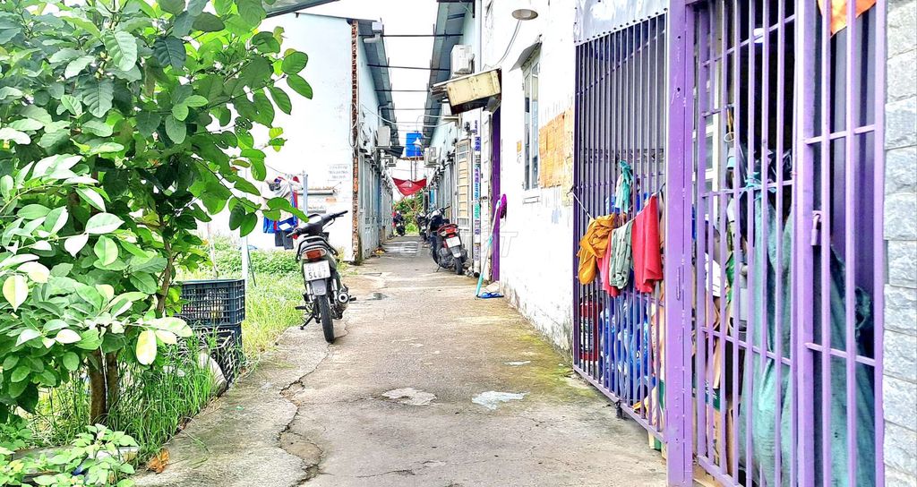 Gấp Bán 1.025m² - Có 20p trọ - Dương Công Khi, Hóc Môn. Mua bán đất tại Huyện Hóc Môn Tp Hồ Chí Minh được đăng bởi Nguyễn Minh Tuấn  hình 2