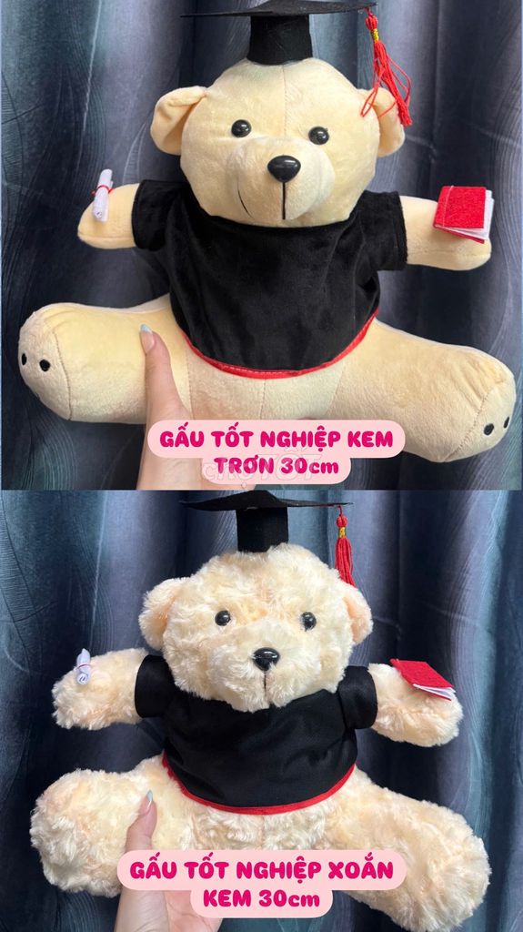 Gấu Bông Tốt Nghiệp, Gấu Bông Cử Nhân Làm Quà Tặng