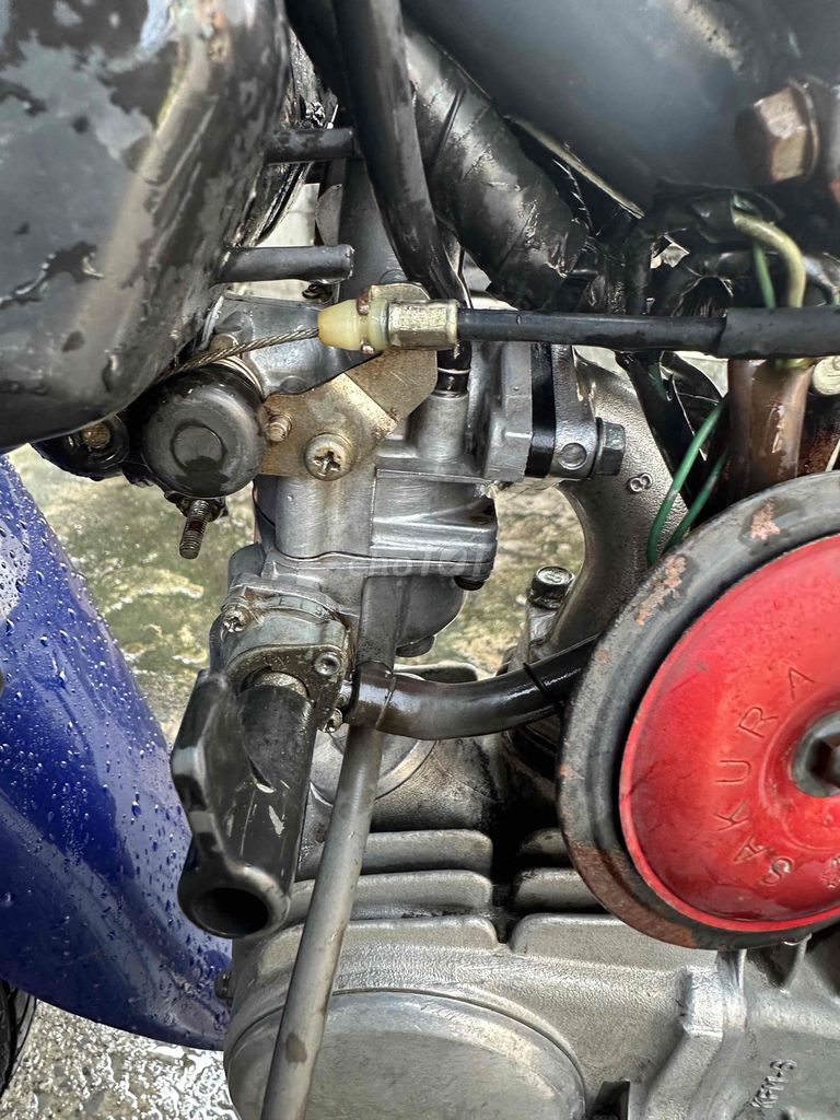 Honda Wave Alpha 2004 Xanh. Mua bán Xe máy tại Huyện Hóc Môn Tp Hồ Chí Minh được đăng bởi Kết ròm hình 13