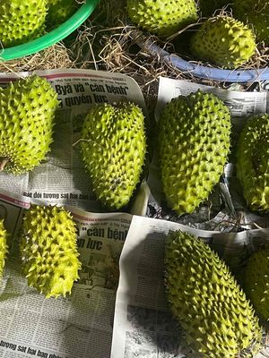 Mãng cầu gai vườn nhà trồng. Mua bán Đồ ăn, thực phẩm và các loại khác tại Quận Ô Môn Cần Thơ được đăng bởi Tên chưa cung cấp