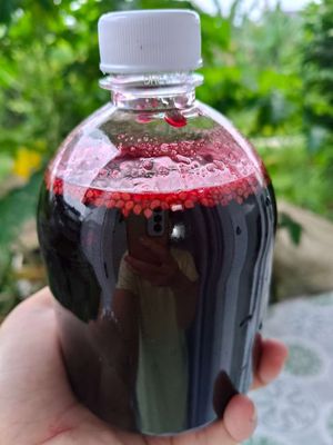 Siro dâu tằm.. Mua bán Đồ ăn, thực phẩm và các loại khác tại Huyện Châu Thành Bến Tre được đăng bởi Nguyễn Linh