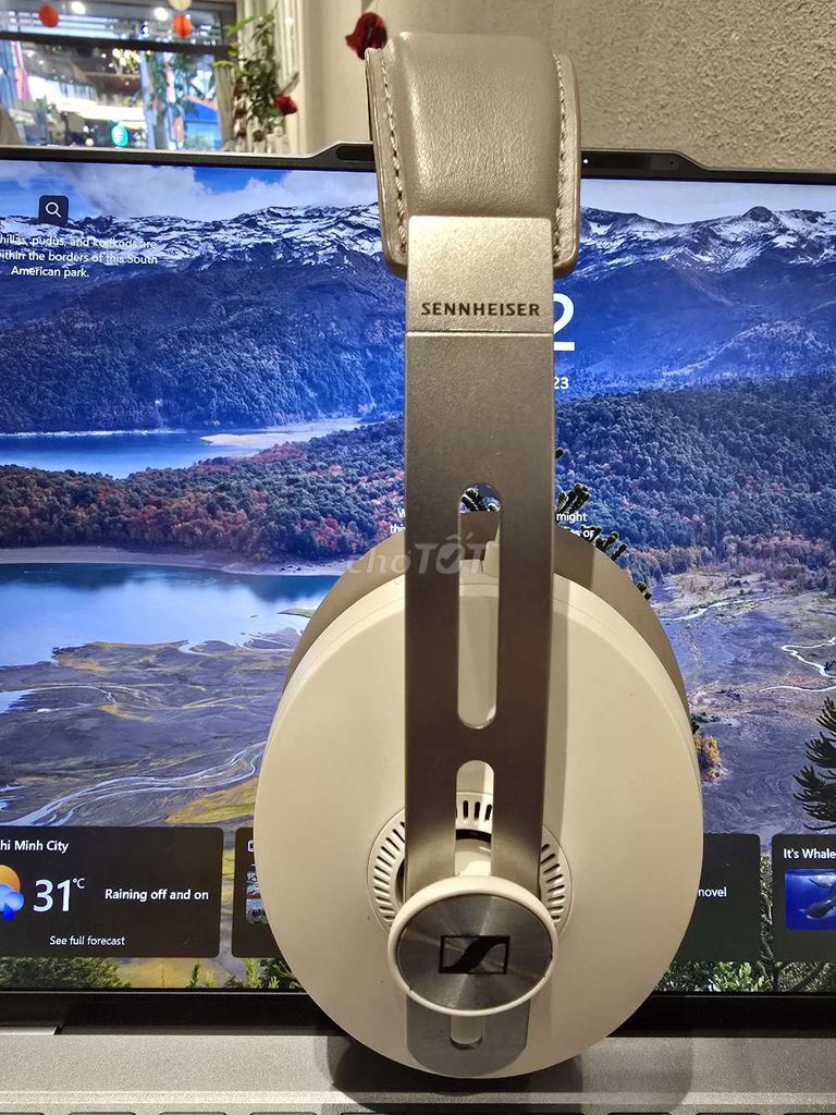 Tai nghe Sennheiser Momentum Wireless 3 Trắng. Mua bán Tivi, Âm thanh tại Quận 6 Tp Hồ Chí Minh được đăng bởi Duc Phuong hình 1
