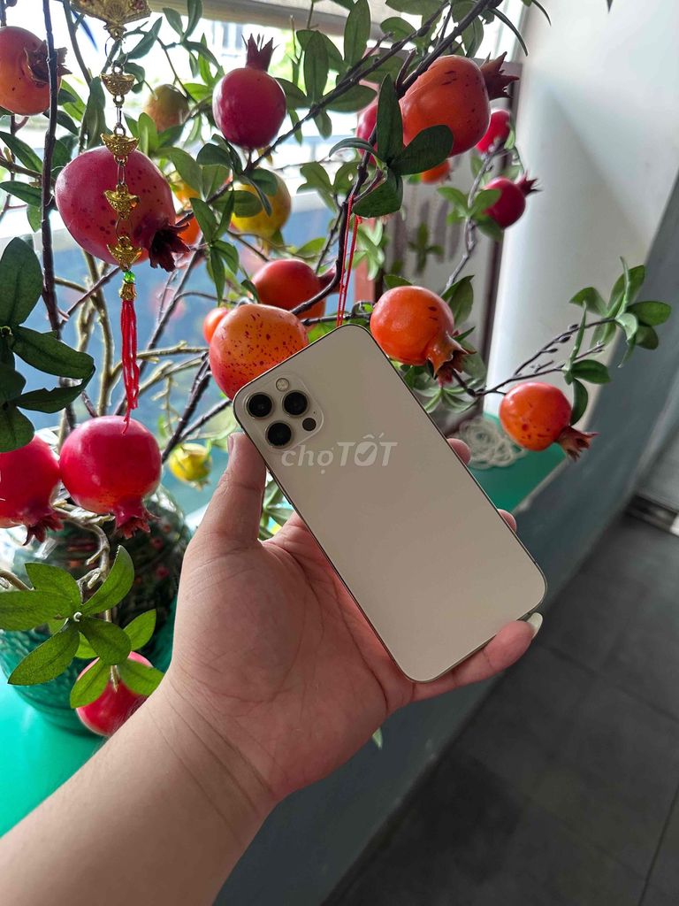 iPhone 12 Pro 128GB 98%. Mua bán Điện thoại tại Quận 10 Tp Hồ Chí Minh được đăng bởi Lê Hoàng Khoa  hình 1