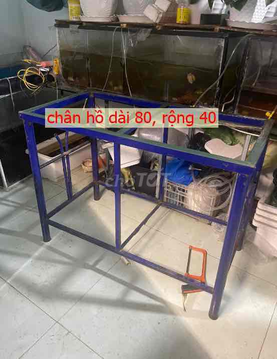 Dọn nhà cần trừ chân hồ dài 80 rộng 40