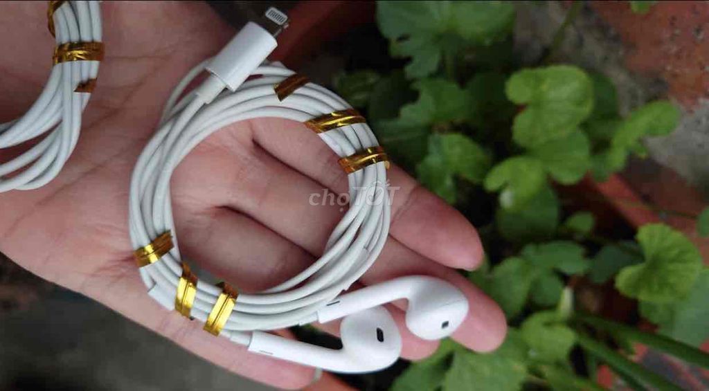 Tai nghe Apple Lightning Trắng. Mua bán Tivi, Âm thanh tại Quận Thanh Xuân Hà Nội được đăng bởi Alex Nguyen hình 1