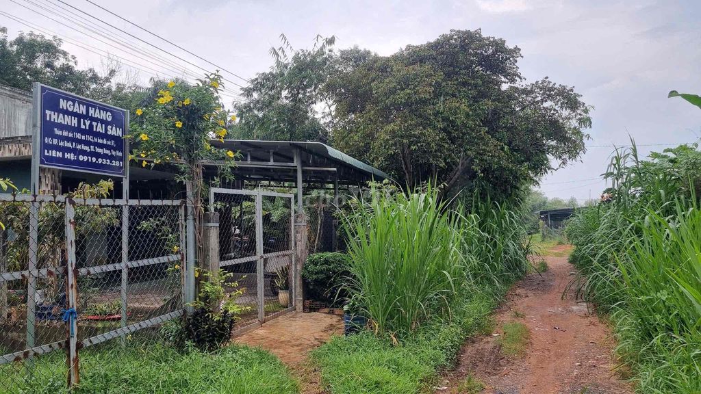 Ngân hàng phát mãi lô đất 3010,8m2 có 200m2 thổ cư (Ms Dươn). Mua bán đất tại Huyện Trảng Bàng Tây Ninh được đăng bởi Dương Chuyên tài sản Thanh lý Ngân hàng hình 2