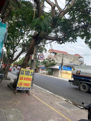 Cho thuê văn phòng, mặt bằng kinh doanh. Cho thuê văn phòng, mặt bằng kinh doanh tại Quận Hải An Hải Phòng được đăng bởi C.Khánh