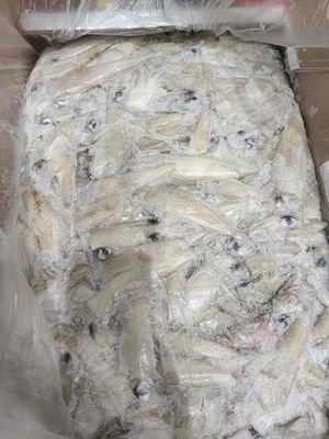 Mực ống Mỹ đông lạnh 10kg. Mua bán Đồ ăn, thực phẩm và các loại khác tại Quận Tân Phú Tp Hồ Chí Minh được đăng bởi Nguyễn Long