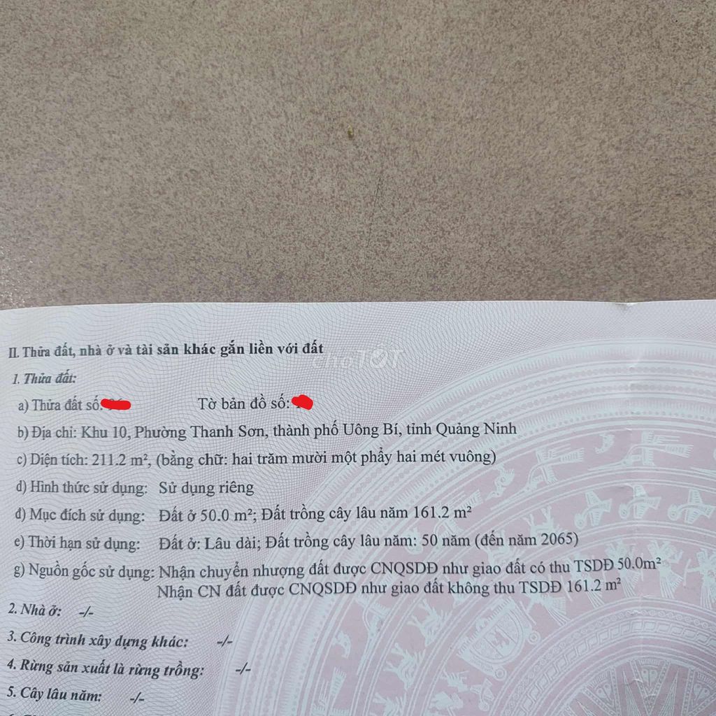 Gia đình mình chính chủ cần bán 3 lô đất mặt đường Bãi Dài tại Uông Bí