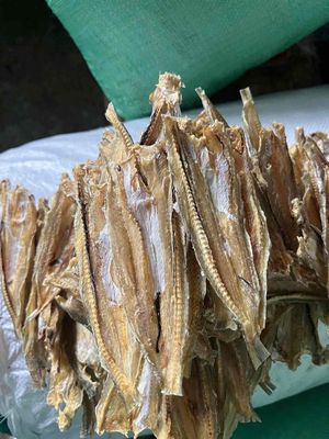 khô cá mối 135k/ 0,5 kg. Mua bán Đồ ăn, thực phẩm và các loại khác tại Quận Bình Tân Tp Hồ Chí Minh được đăng bởi Nguyễn Hoài Vũ
