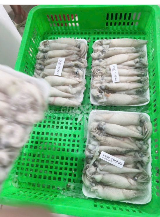 🦑🦑Mực trứng 15-20 con net 7. Mua bán Đồ ăn, thực phẩm và các loại khác tại Quận 3 Tp Hồ Chí Minh được đăng bởi Thiên Phát hình 1