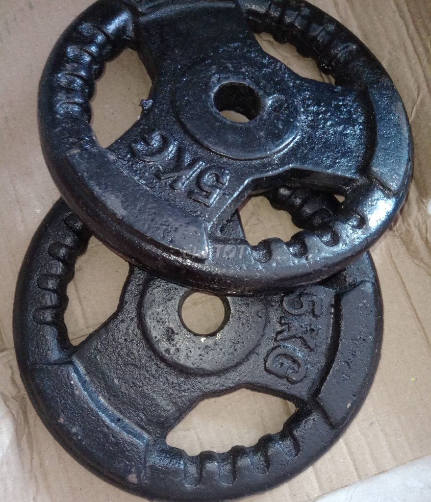 Tạ gang 5kg
