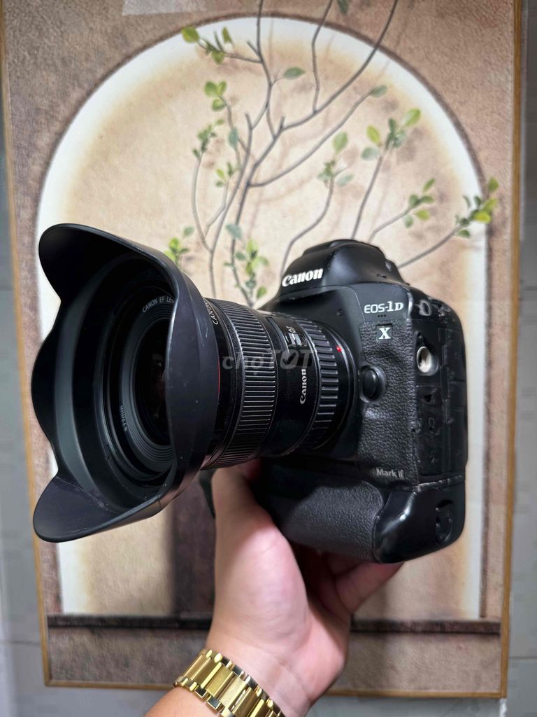 Máy ảnh Canon 1DX Mark II full chức năng + 17-40. Mua bán Máy ảnh, Máy quay tại Thành phố Thuận An Bình Dương được đăng bởi Nguyễn Đình Tú hình 1