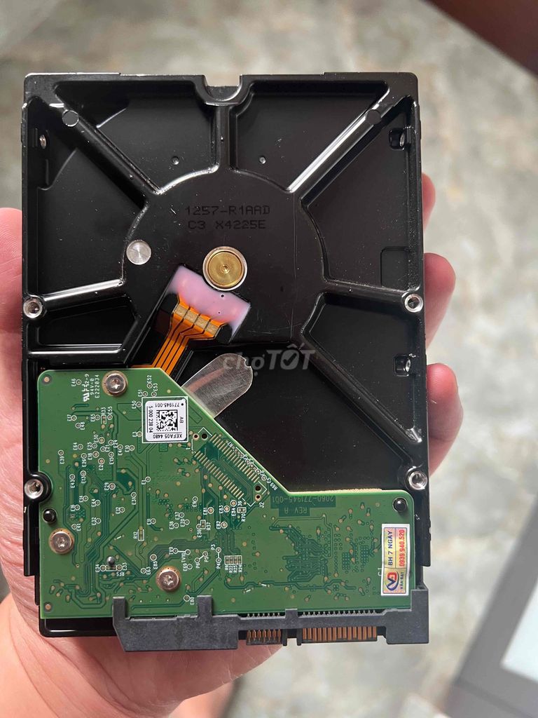 Ổ cứng HDD WD WD20PURX 2TB Đã qua sử dụng. Mua bán Linh kiện (RAM, Card...) tại Huyện Đông Anh Hà Nội được đăng bởi Mua Mua hình 1