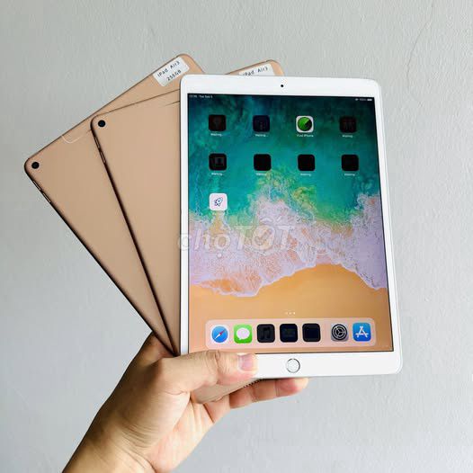 Apple iPad Air 3 256GB Vàng Đồng Đã sử dụng. Mua bán Máy tính bảng tại Quận Ba Đình Hà Nội được đăng bởi Hội Đồ Điện Tử hình 1