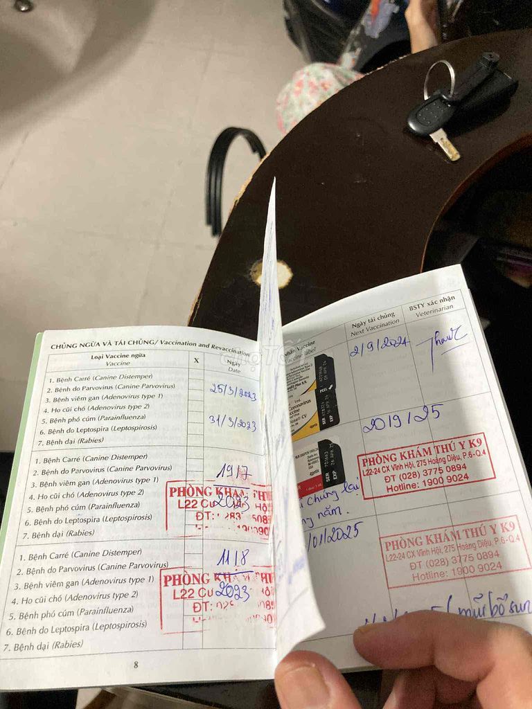 bán cho nhà. Mua bán Chó tại Quận 1 Tp Hồ Chí Minh được đăng bởi CATTHY hình 2