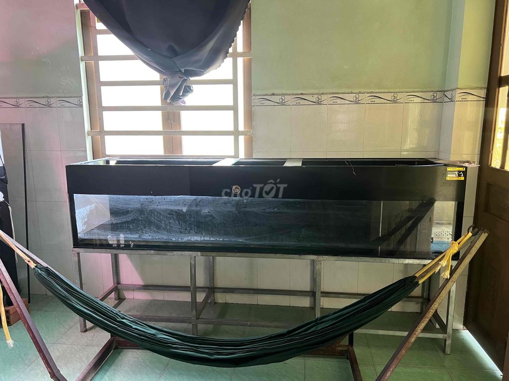 Hồ cá kính đen 2m4 x 50cm. Mua bán Phụ kiện, Thức ăn, Dịch vụ tại Huyện Bến Cầu Tây Ninh được đăng bởi NGUYEN HIEU hình 1