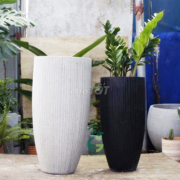 Chậu Xi Măng Nhẹ Hình Đầu Đạn. Mua bán Cây cảnh, đồ trang trí tại Quận Bắc Từ Liêm Hà Nội được đăng bởi Nguyễn Văn Qúy hình 1