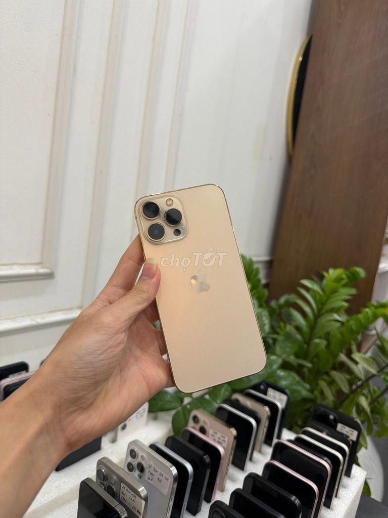 Apple iPhone 13 Pro Max 128GB Vàng. Mua bán Điện thoại tại Quận Ngũ Hành Sơn Đà Nẵng được đăng bởi Trieu Le hình 1