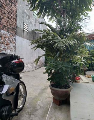 cho thuê phòng trọ giá rẻ. Cho thuê phòng trọ tại Quận Liên Chiểu Đà Nẵng được đăng bởi Nguyen tan thanh