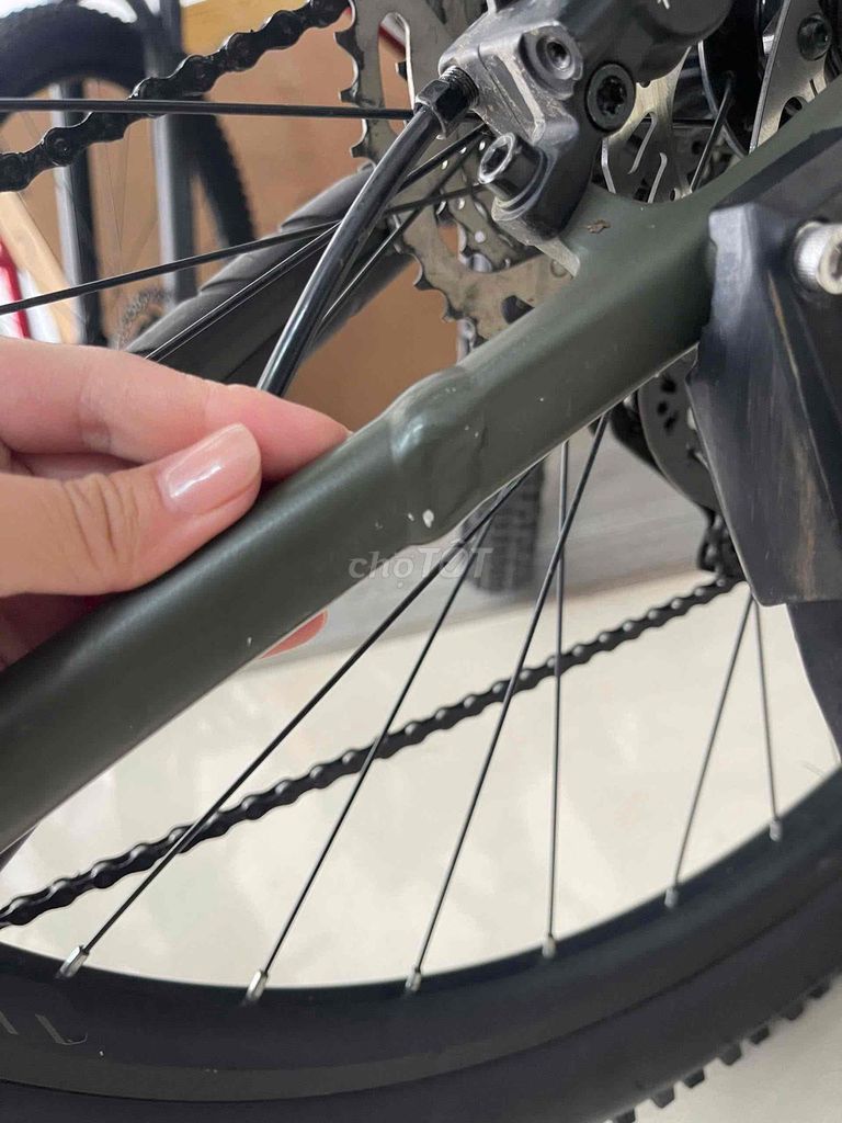 cần ra đi 3 em này . chi tiết kb zalo ***. Mua bán Xe đạp tại Quận Ninh Kiều Cần Thơ được đăng bởi Shin Garden Cần Thơ Cây cảnh Cây Phong Thuỷ Cây để bàn hình 10