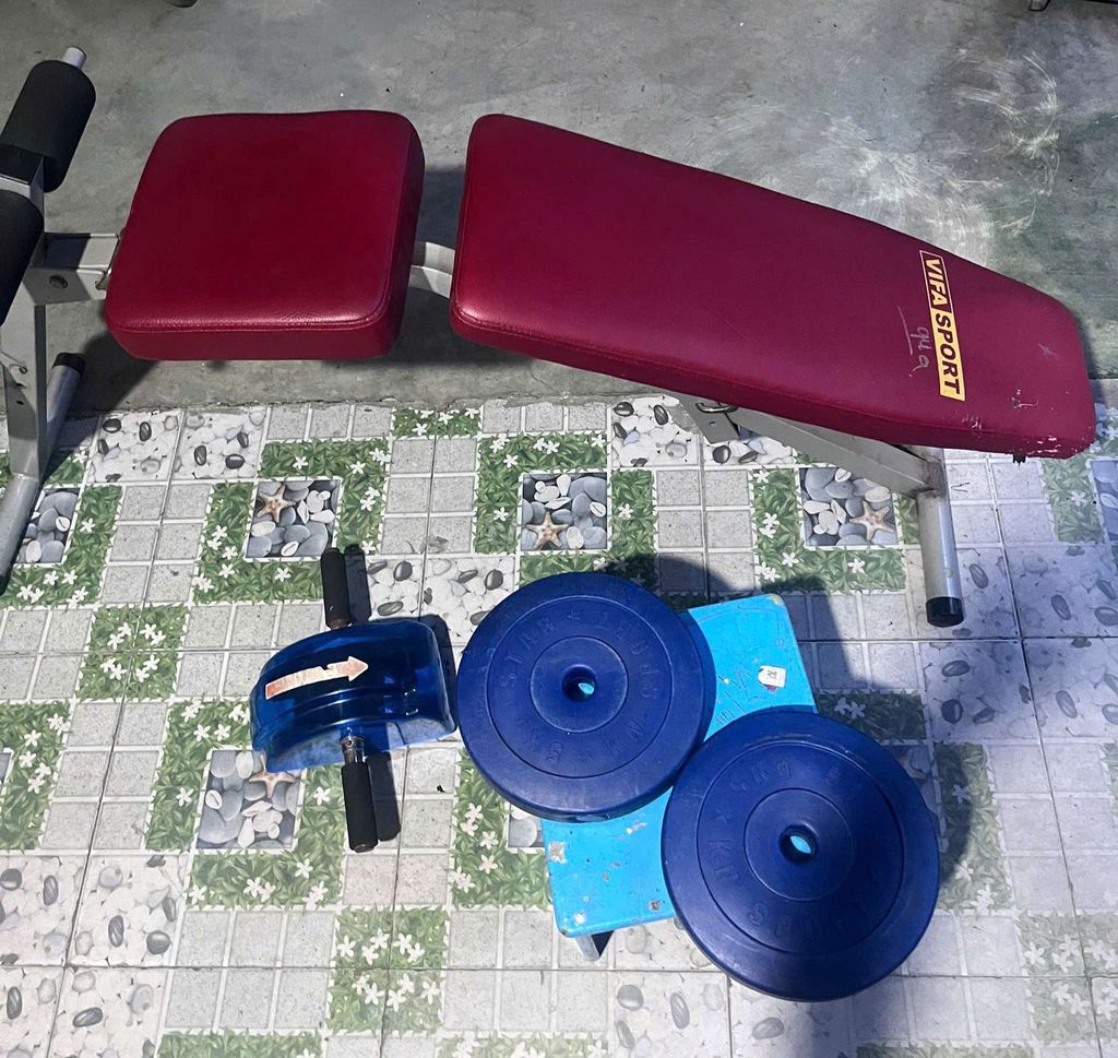Ghế tập bụng Vifa Sport. Mua bán Đồ thể thao, Dã ngoại tại Thành phố Thủ Đức Tp Hồ Chí Minh được đăng bởi Trần Quang Đức hình 1