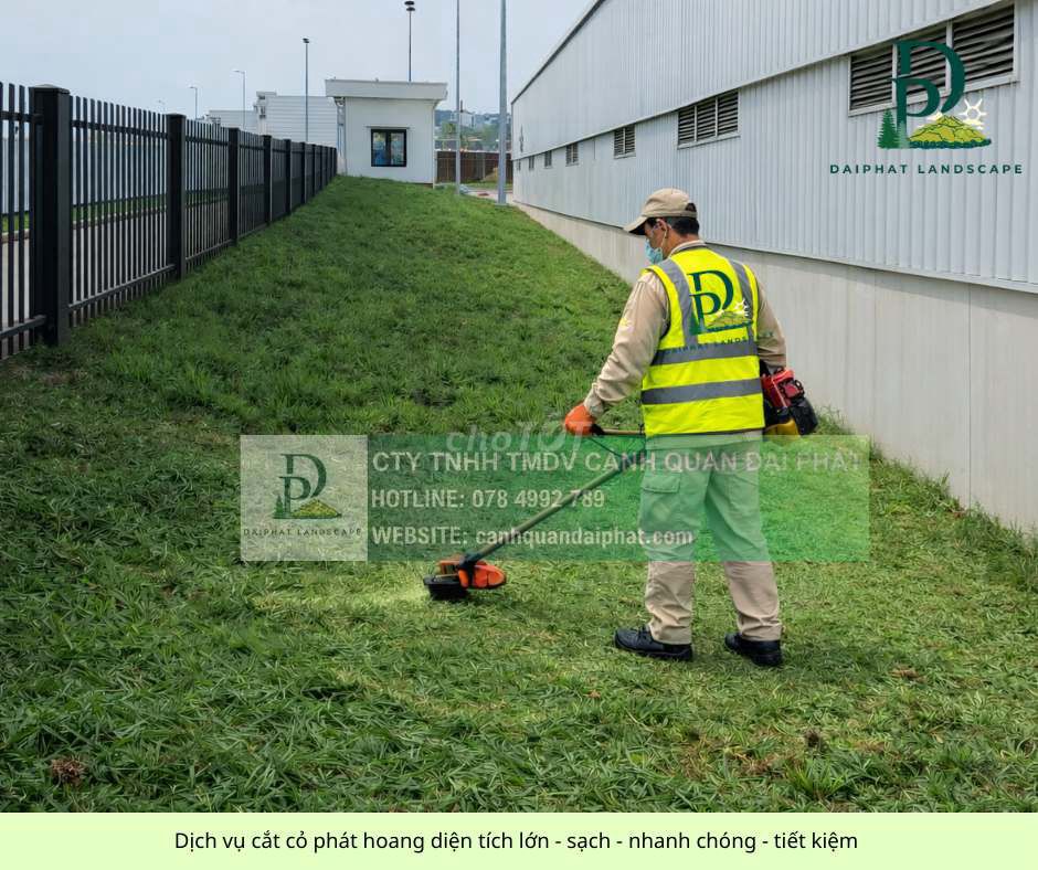 Cắt cỏ, chăm sóc cây xanh KCN Long Bình Đồng Nai. Dịch vụ tại Thành phố Biên Hòa Đồng Nai được đăng bởi Cảnh quan Đại Phát Vườn Sa đéc hình 1